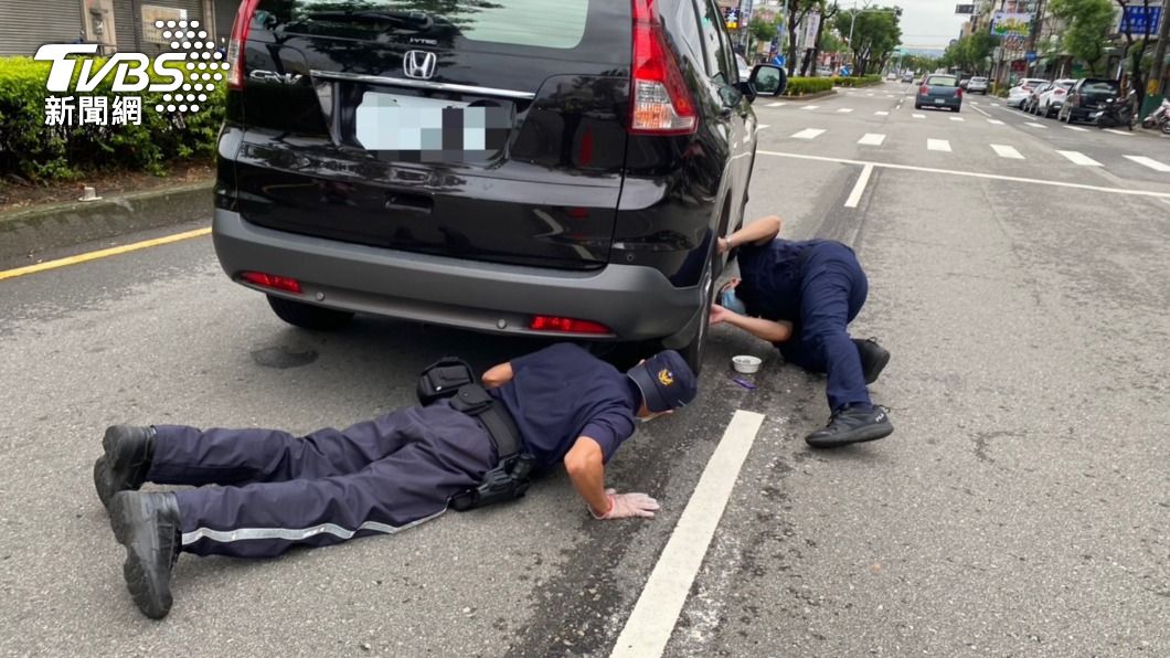 員警趴在地上拿食物誘使貓咪出來。（圖／警方提供）