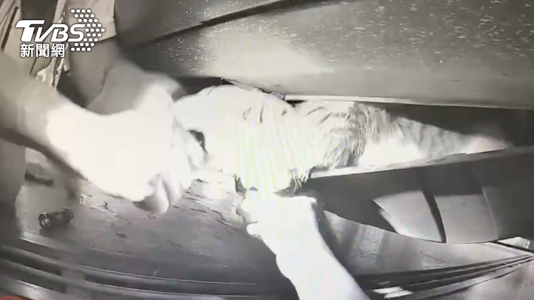 貓咪攀爬進入車輛底盤內部。（圖／警方提供）