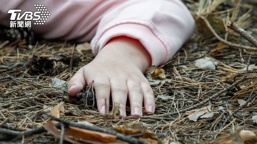 斷裂樹枝砸死人!遛狗遭枯木奪命 英女視訊「成死亡直播」