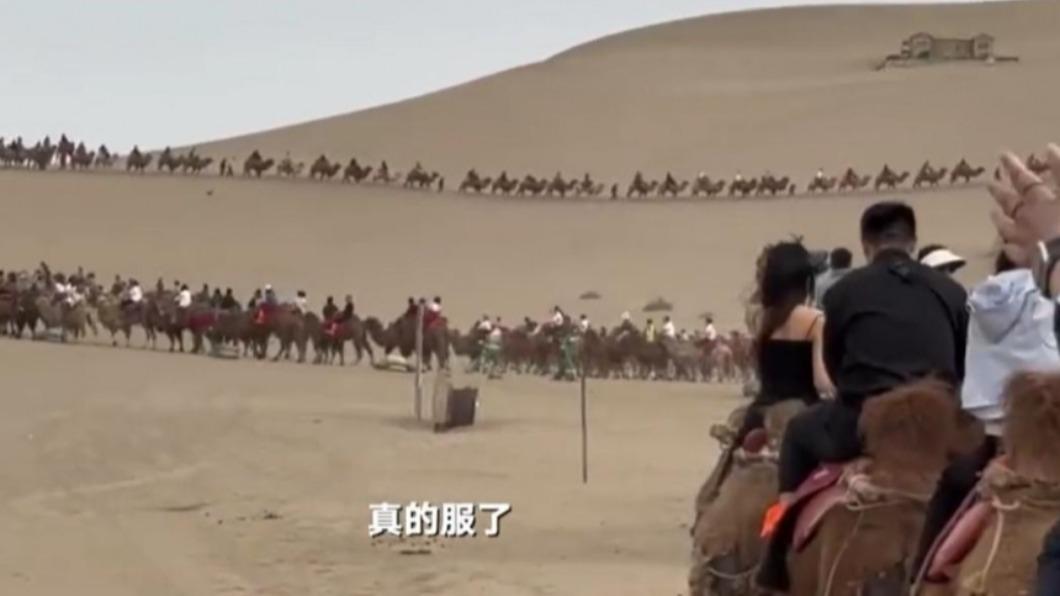 暑期遊客騎乘駱駝現象驚人,目前官方已於18日暫停騎乘活動。(示意圖/翻攝自頭條新聞微博)