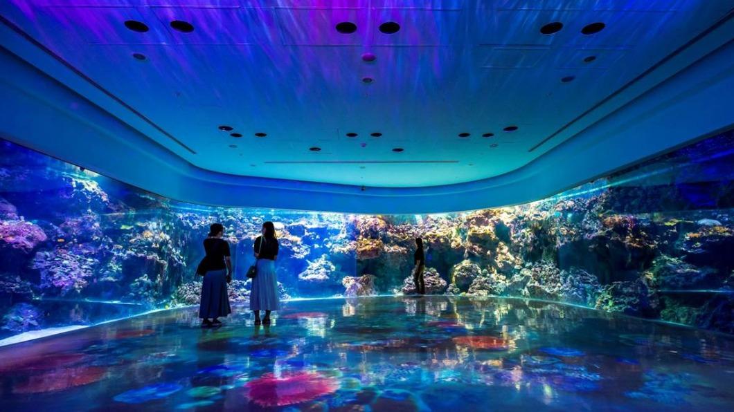 漫步星空下！Xpark星光場必打卡　入夜探訪水族館超浪漫