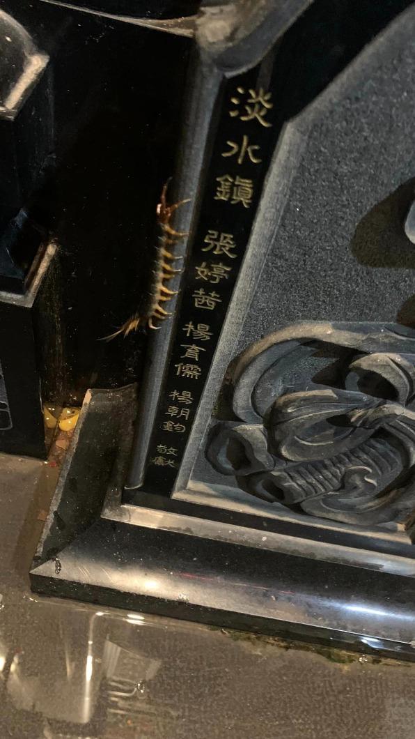 南投受天宮出現巨大蜈蚣,恐是神明想告誡民眾做好防詐工作。(圖/翻攝自李長生臉書)