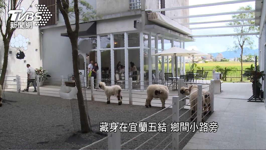 圖／TVBS