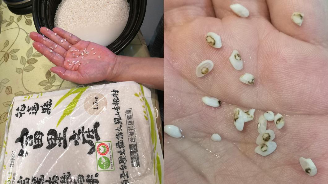 好市多白米超雷?他挑出「一顆顆小蛀牙」嚇壞 秒遭真相打臉