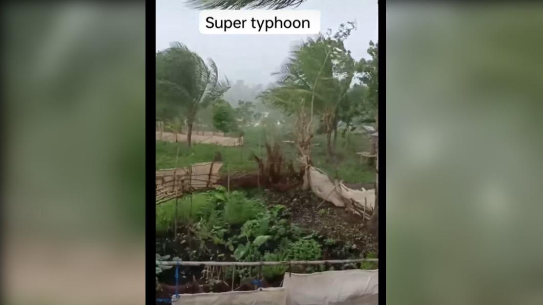 有片/杜蘇芮變「超級颱風」 菲律賓豪雨淹水颳強風將威脅台灣