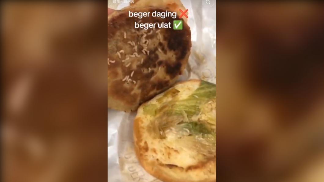 肉餅上有滿滿的蟲蟲。（圖 / 翻攝自TikTok）