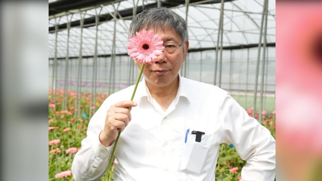 民眾黨批蔡政府沒財政紀律 綠:最糟糕的是柯文哲