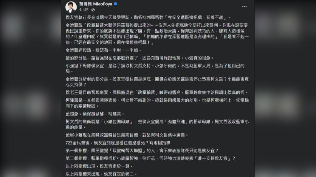 苗博雅對金溥聰批評羅智強發表看法。(圖/翻攝自苗博雅臉書)