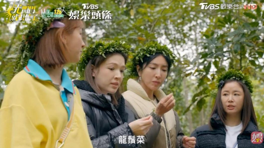 4人對森林的一切充滿好奇。(圖/翻攝自《光開門就很忙了》)