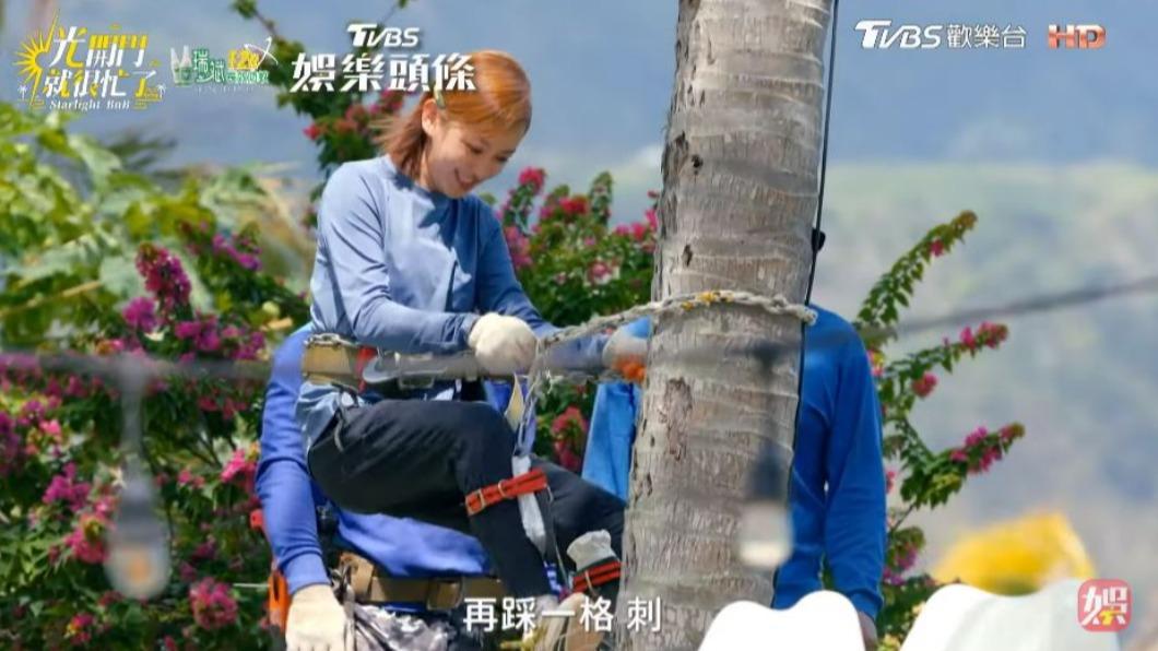 陳意涵嘗試爬椰子樹。（圖／翻攝自《光開門就很忙了》）