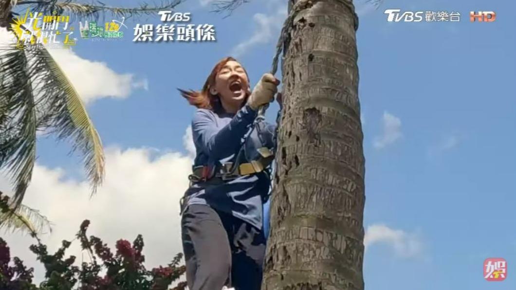 陳意涵從樹上掉下來。（圖／翻攝自《光開門就很忙了》）
