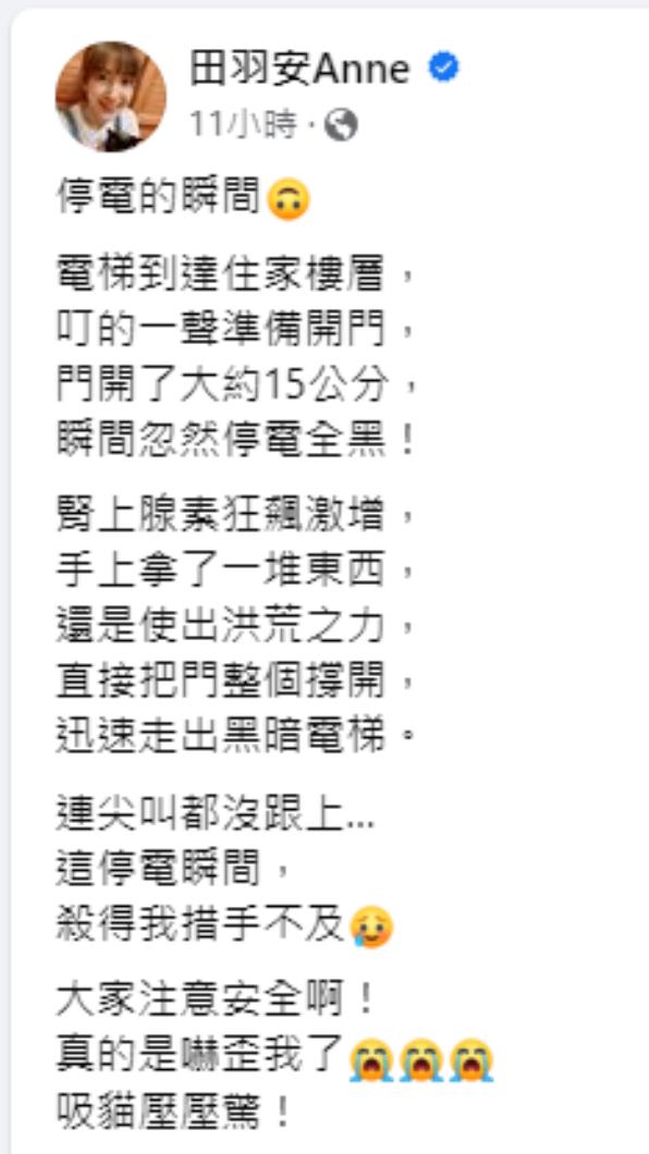 田羽安遇突發狀況。(圖/翻攝自田羽安臉書)