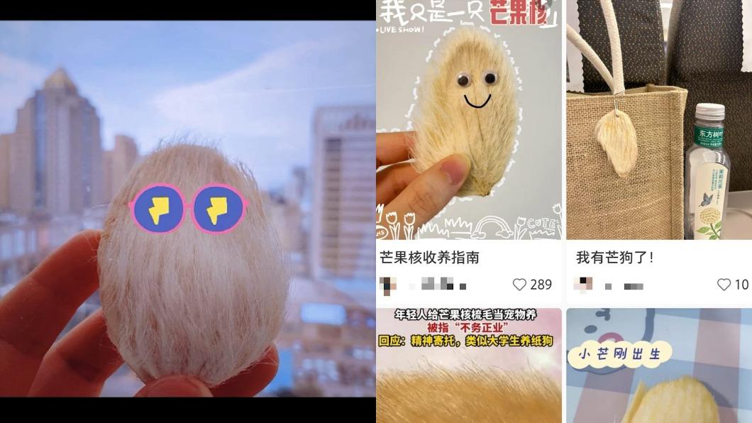 網友交流「芒狗」製作方法。(圖/翻攝自小紅書)