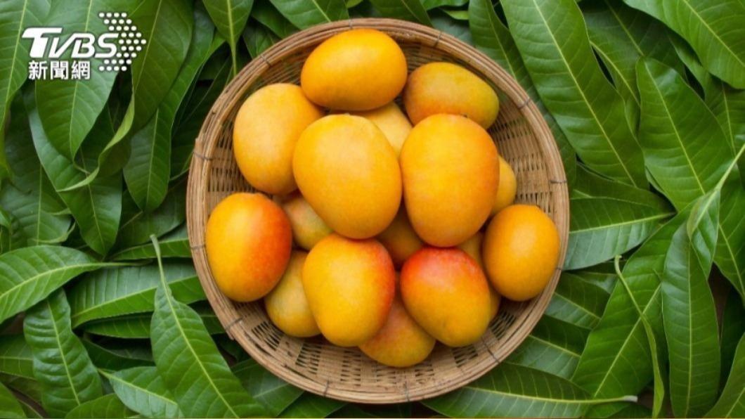 大陸年輕人流行養芒果核並取名為「芒狗」。(示意圖/shutterstock 達志影像)