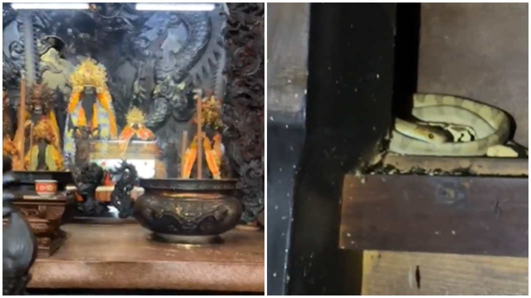 天受宮端午靈蛇颱風天才現蹤!專家解「異象」:注意2災害