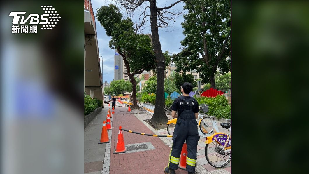 路樹倒塌砸中行人,警消到場搶救。(圖/TVBS)