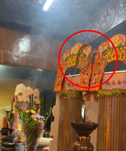 「帝爺公蛇」相當有靈性,而且不怕生到處看。(圖/翻攝自松柏嶺天受宮北極玄天上帝臉書)