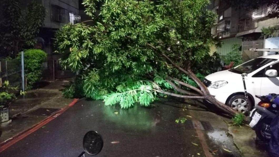 颱風還沒走!杜蘇芮夜襲南台灣 高雄路樹被吹倒砸兩車