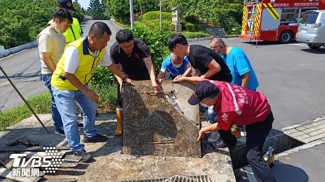有狗受困箱涵狂吠 動保處組隊撬開水泥蓋 結局竟是這樣