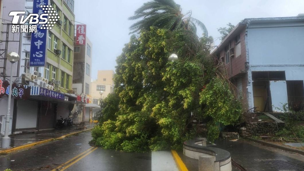 颱風杜蘇芮狂風侵襲澎湖　路樹倒塌嚴重影響通行
