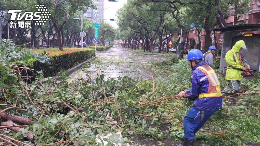 許多路樹因颱風傾倒。（圖／高雄市工務局提供）