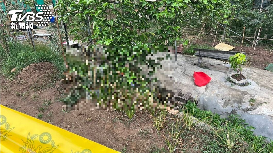 死因成謎！「頭部朝下」趴在水溝內　淡水男離奇陳屍菜園