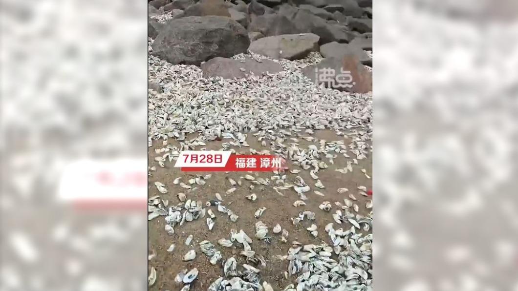圖/翻攝自微博 沸点视频