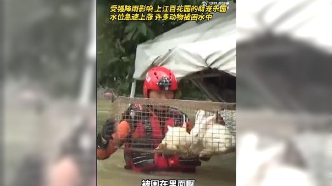 圖／翻攝自 微博 浙江日报 
