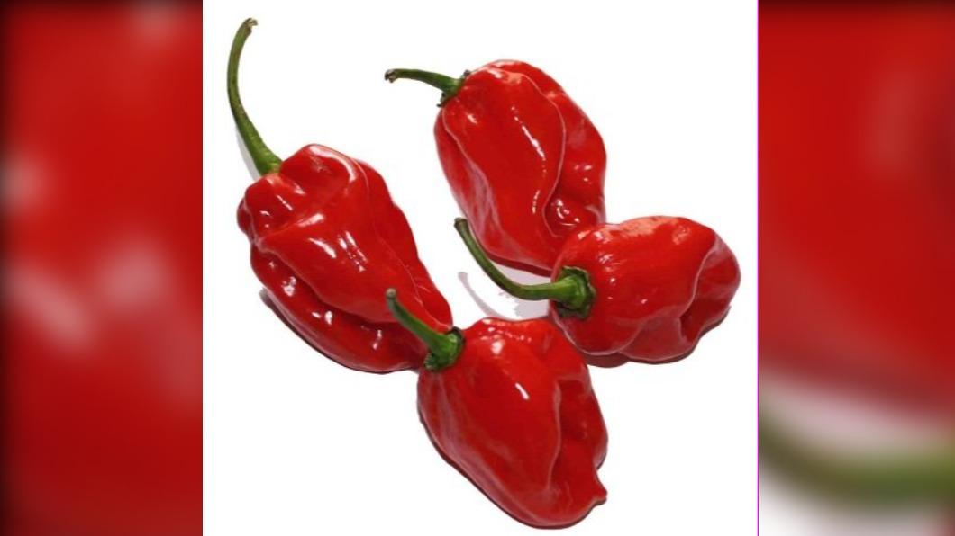 哈瓦那辣椒(habanero pepper)。(圖/翻攝自desertcart)