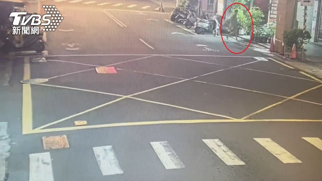 不講義氣!酒駕雙載遇路檢點 北市男竟尿遁丟包友人
