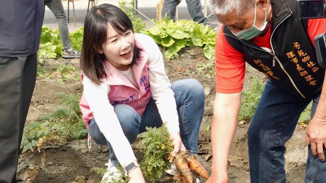 國民黨立委謝衣鳳。(圖/翻攝自謝衣鳳臉書)