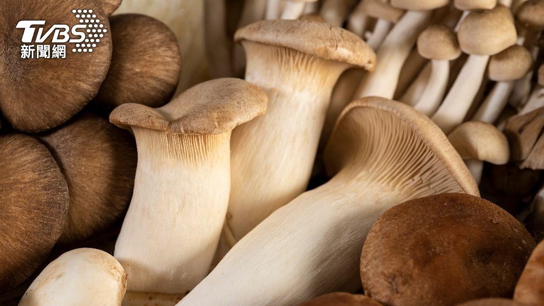 菇類是富含維生素D的食物。(示意圖/shutterstock達志影像)
