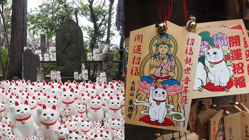 招福貓發源地!超過1千隻喵皇跟你招手 東京「豪德寺」貓奴必去