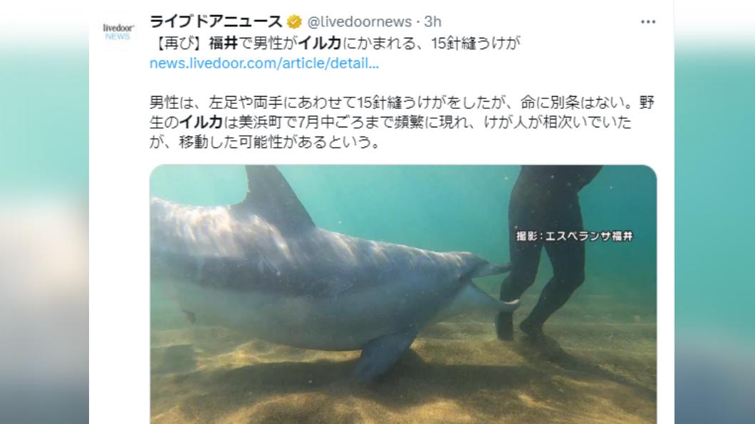 26歲男子遭海豚咬傷。(圖/翻攝自推特)