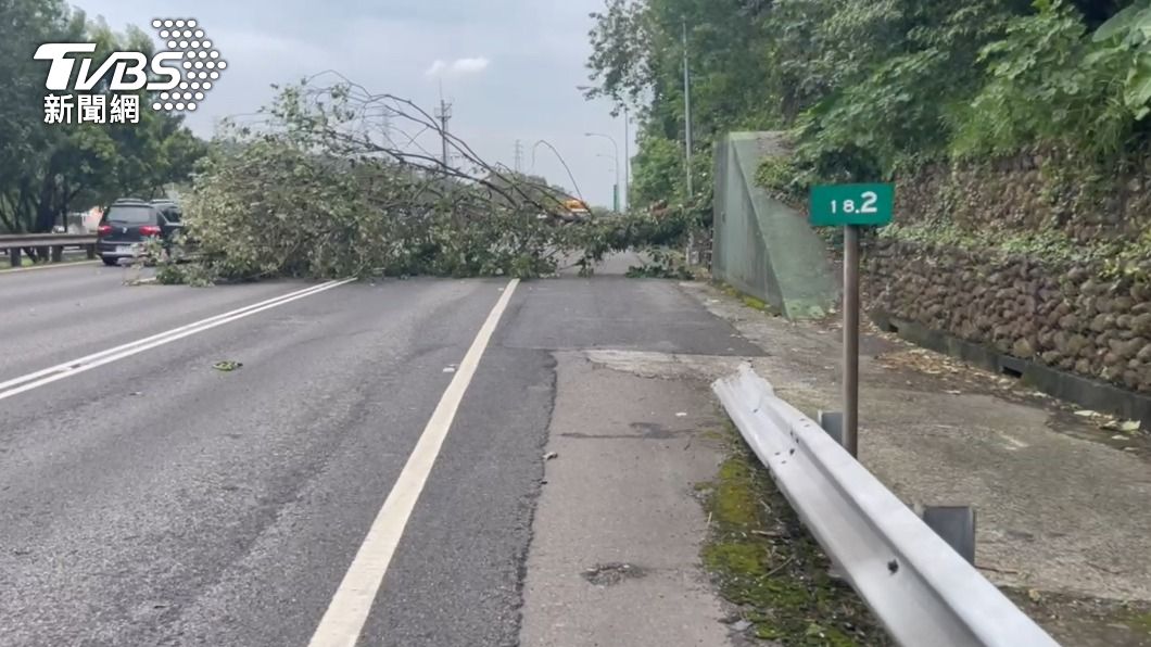 邊坡路樹倒塌!小轎車煞不住迎面撞 國3一早回堵7公里