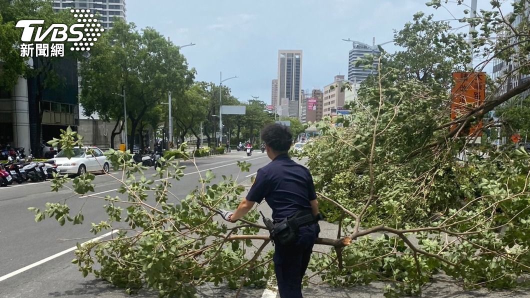 高雄市區風大路樹傾倒躺車道 警方與民眾合力排除