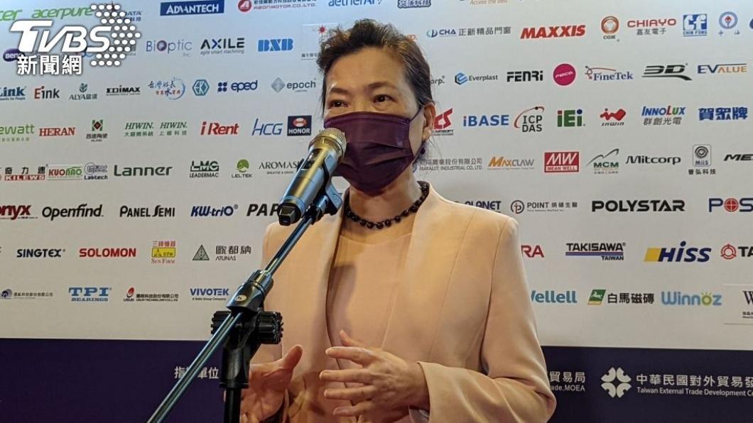 王美花稱台積電高雄設廠是根留台灣。(圖/TVBS資料畫面)