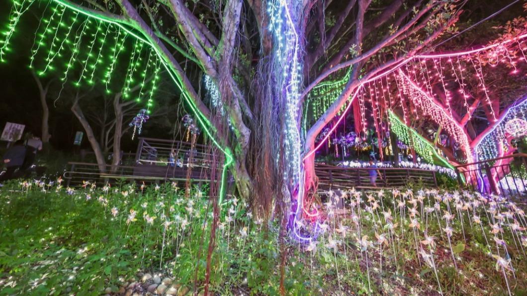 「百花樹脈」在夜晚綻放著繽紛光影。(圖/愛玩的伊凡提供)