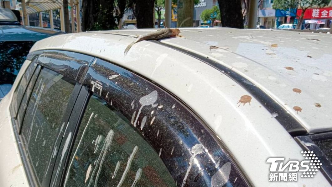 這輛白色車子車身除了鳥類的排泄物外,這次還出現了一條魚,整台車面目全非,慘不忍睹。(圖/TVBS)