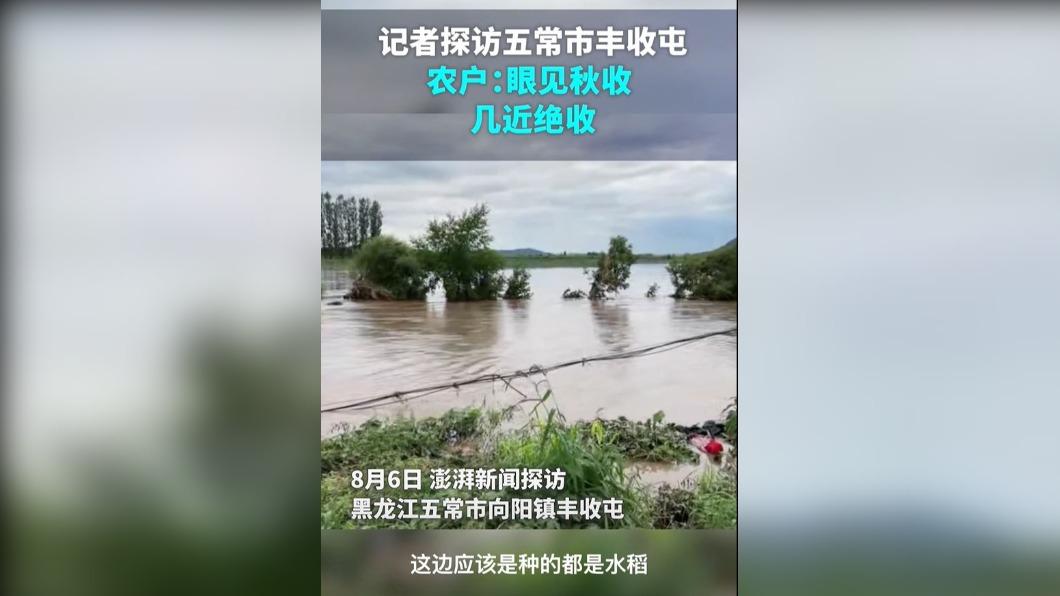 圖/翻攝澎湃