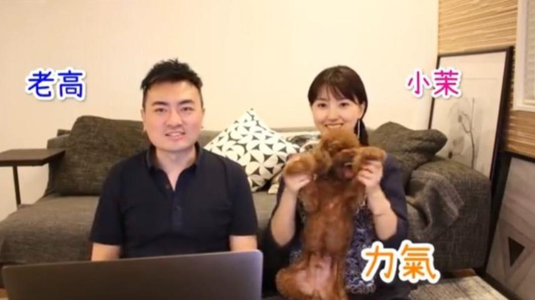 小茉有次把狗掉包整老高,粉絲喊快生小孩。(圖/翻攝自「老高與小茉 Mr & Mrs Gao」YT)