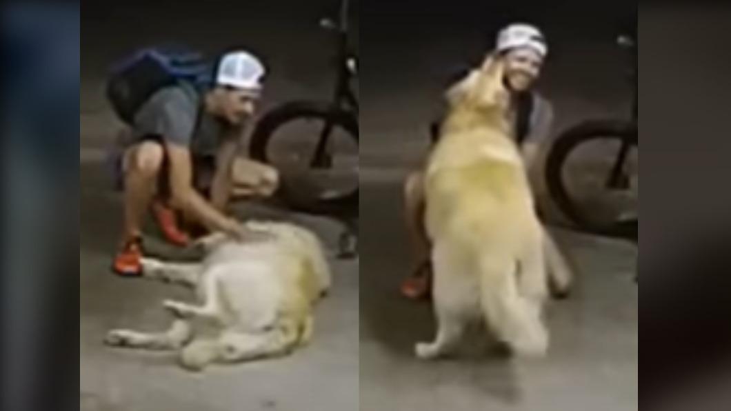 有片/賊行竊遇黃金獵犬討摸 竟大膽停留撸狗:「我也愛你」
