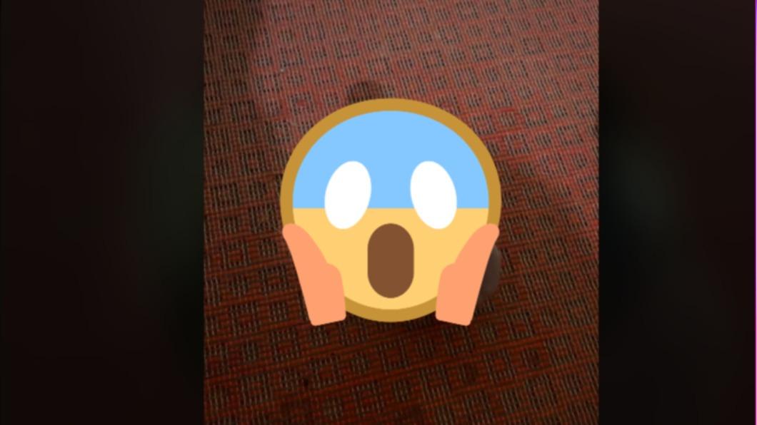 女子聽見家中有奇怪聲響前往浴室查看，竟見一顆頭竄出地板。（圖／翻攝自TikTok）