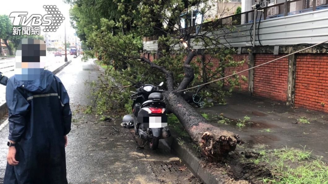 高雄雨彈狂炸!路樹倒塌狠K經過騎士 緊急送醫