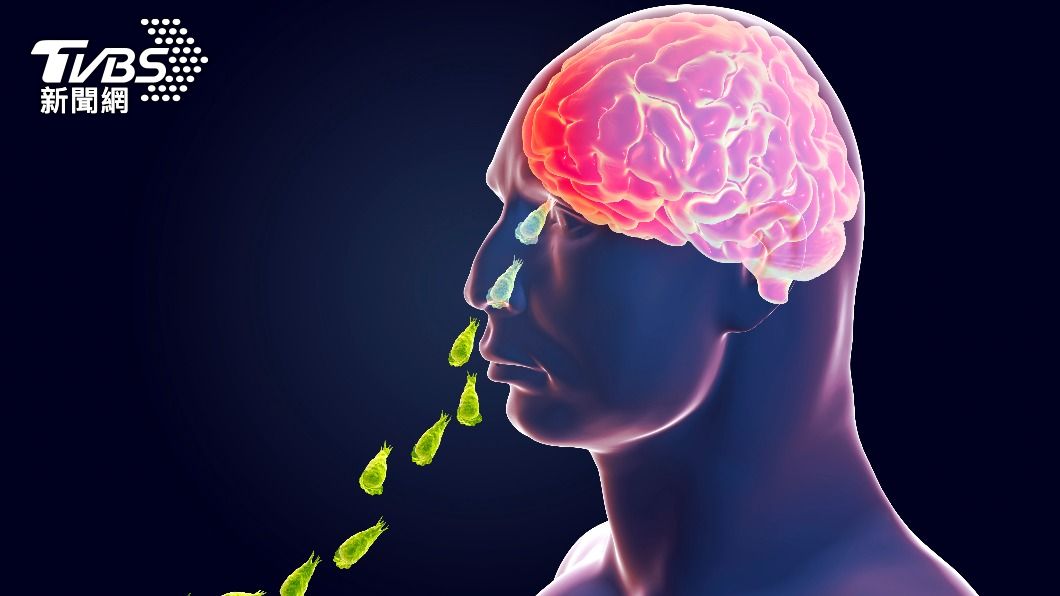 死亡率近100%!什麼是「食腦變形蟲」 QA一次看懂