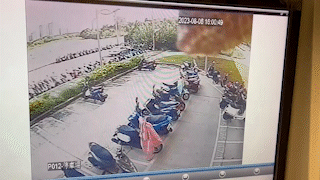 小黑狗生前仍活蹦亂跳。（圖／民眾提供）
