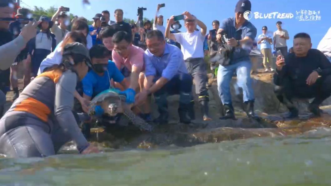 海龜吞食魚鉤遭釣線纏擱淺 養傷3月成功野放回歸大海