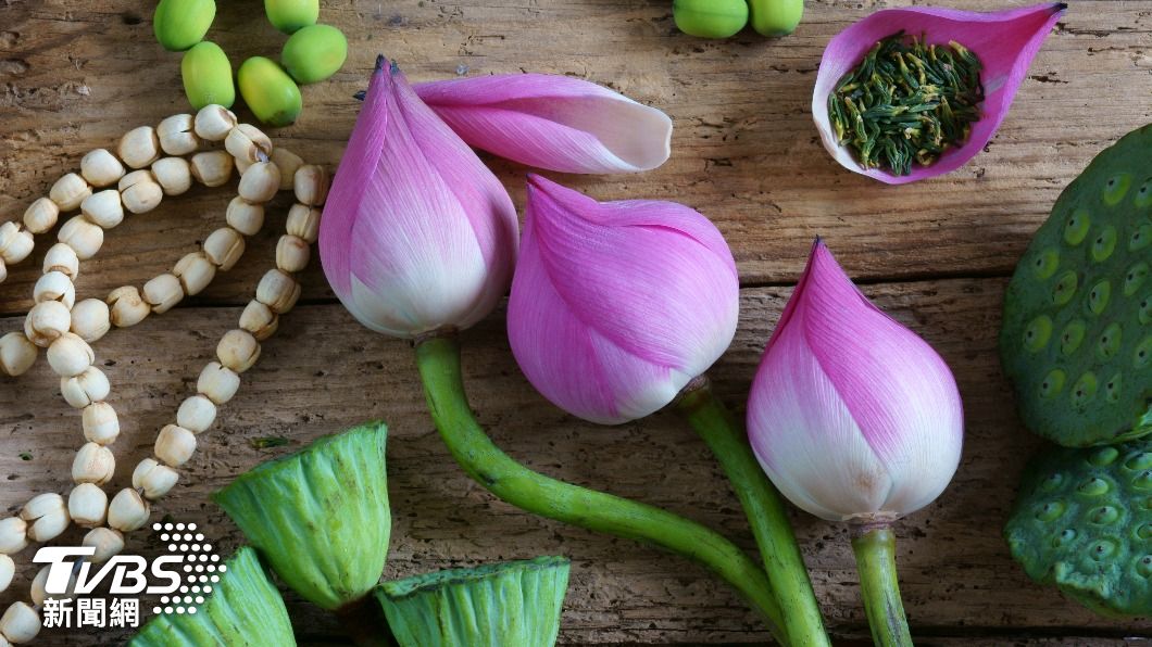 「蓮花」整株都是寶!花瓣泡茶可解暑 蓮蓬入藥還能降血脂