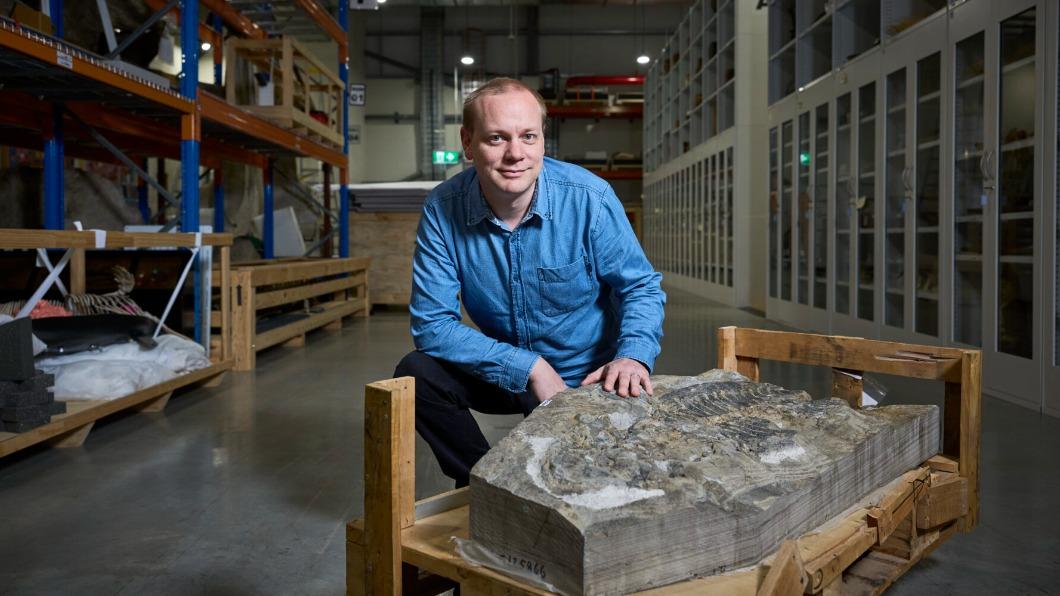 古生物學家哈特12歲時便見過該化石,沒想到25年後這個古生物成為他研究論文的一部份。(圖/翻攝自「澳洲地理雜誌」)