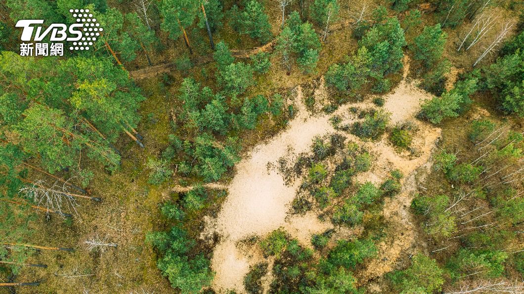 由於土地所有人老齡化，已無力再管理地產；加上土地繼承需支付龐大稅務，因此愈來愈多人考慮將這些山林地以0元轉讓。（示意圖／達志影像Shutterstock）